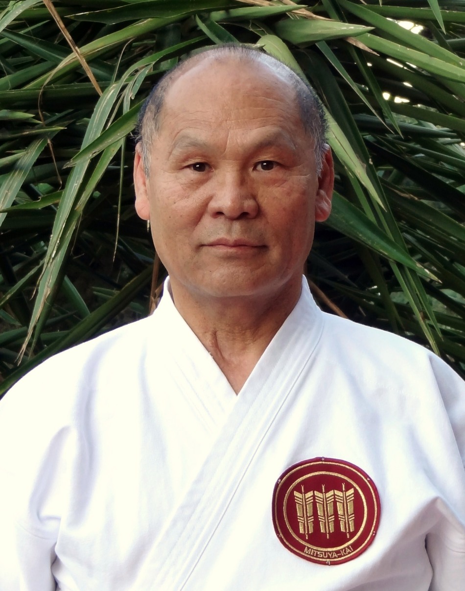 Soke Seinosuke Mitsuya
