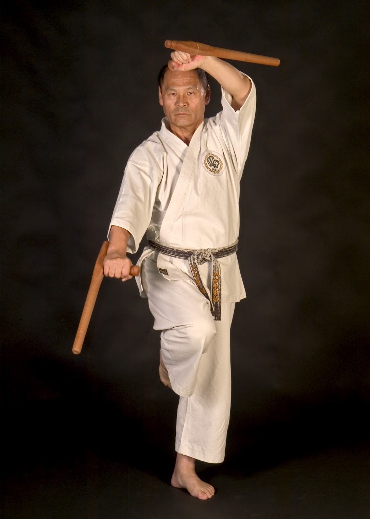 Soke Seinosuke Mitsuya